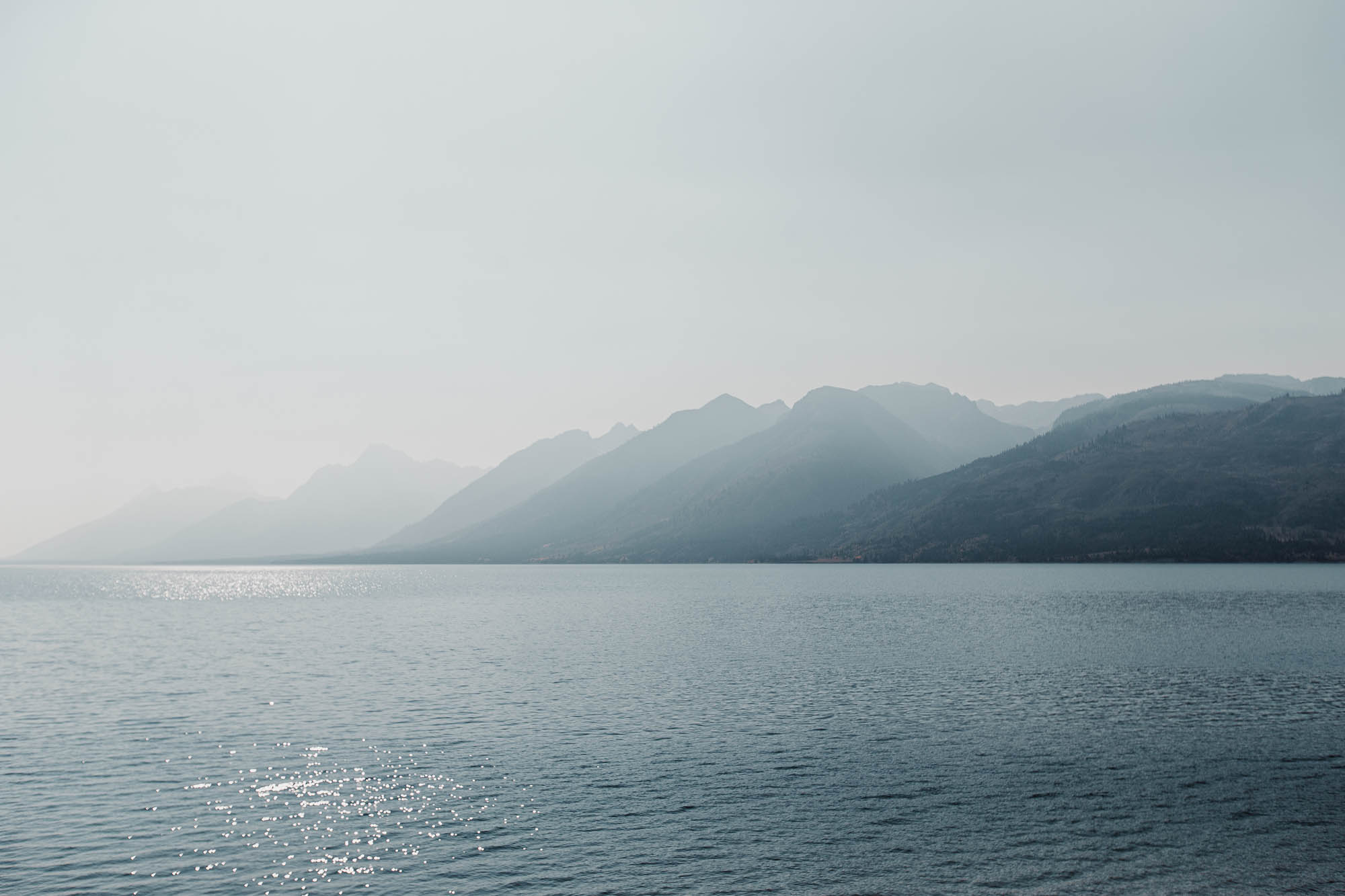 Read more about the article Blue Mountain Haze